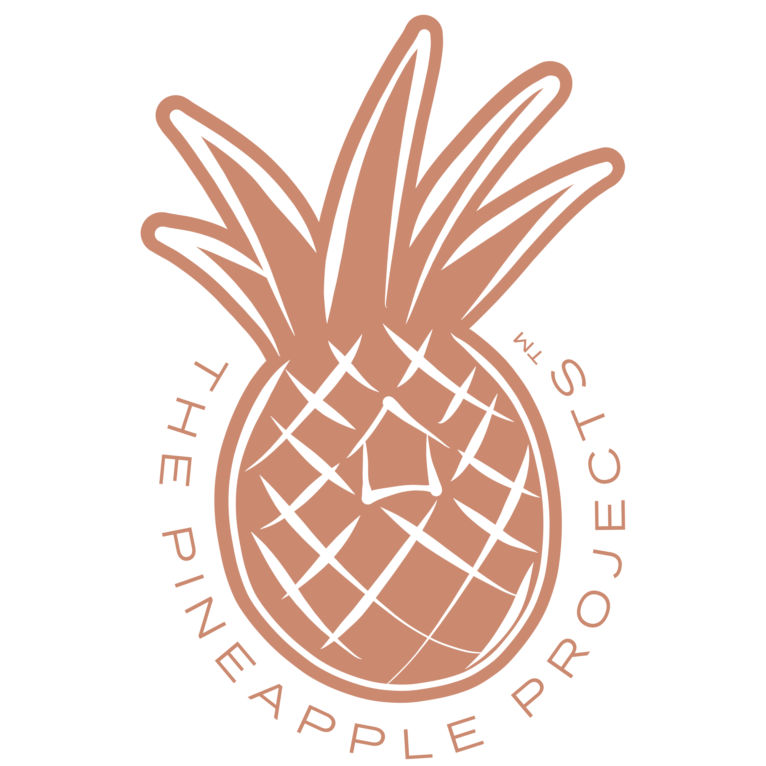 The Pineapple Projects logo